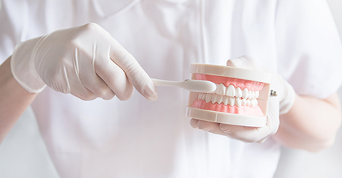 歯磨き(ブラッシング)指導